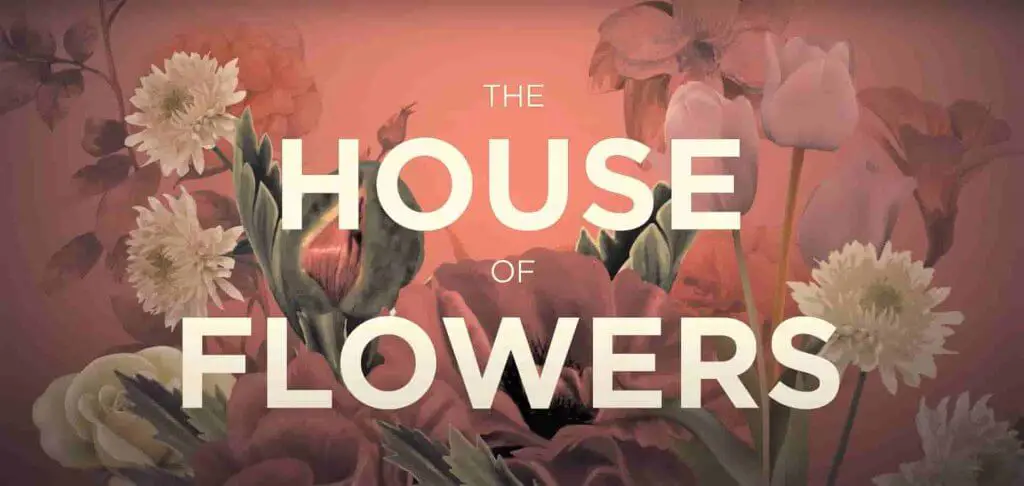 Best Spanish Shows On Netflix - the house of flowers