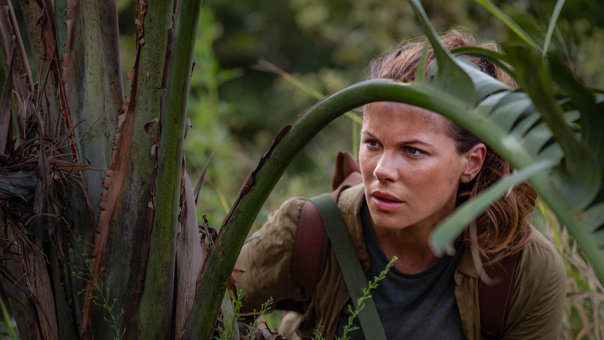 The Widow Season 2 Release Date, Cast, Renewal Status And All Urgent Updates The Widow Season 2 Cast