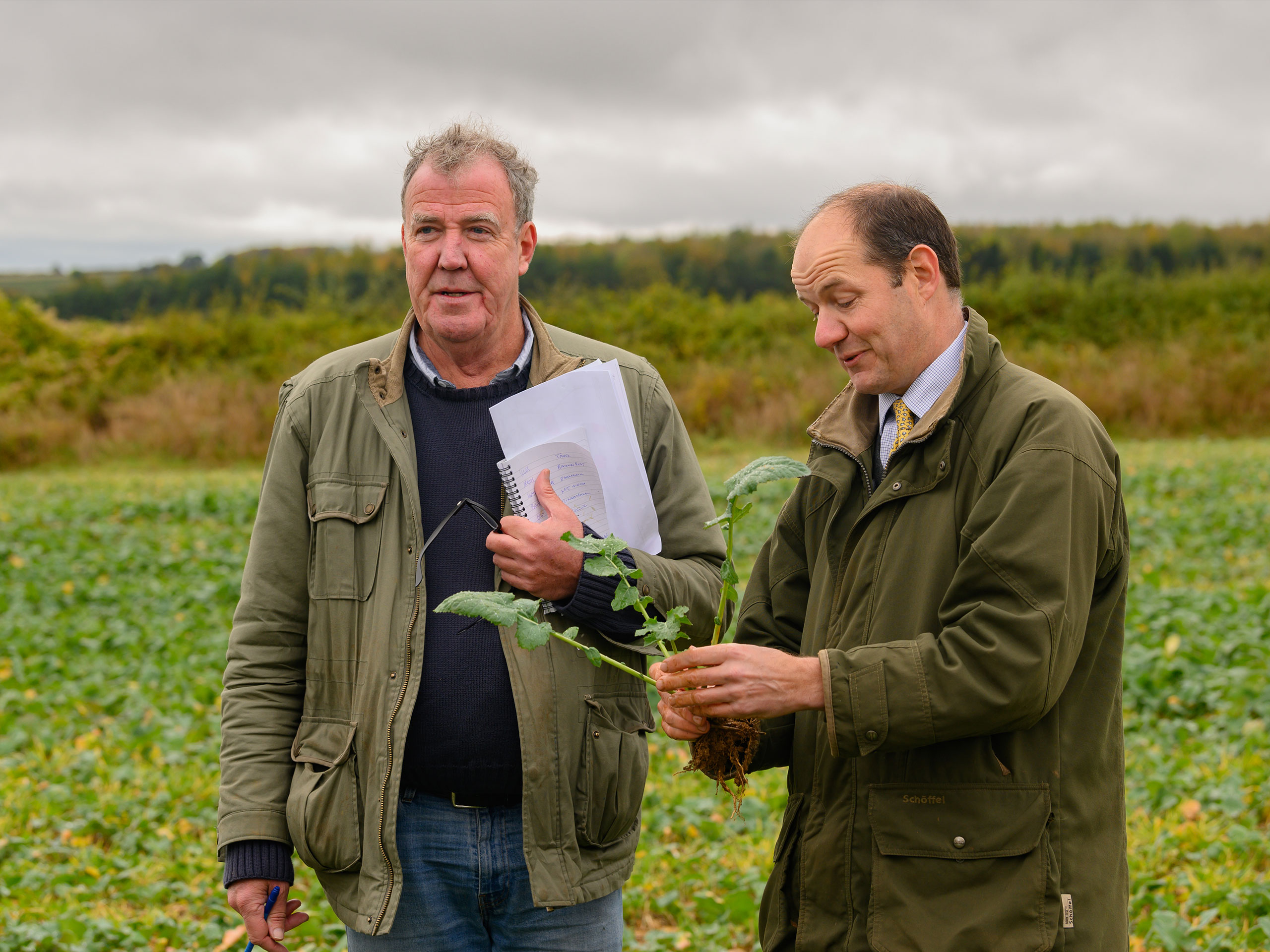 two men investigating crops in a farm
