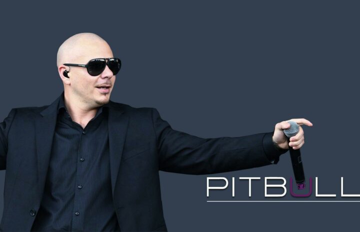 Pitbull net worth